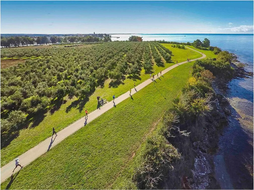 Casa Esmeralda I Novigrad  Villa